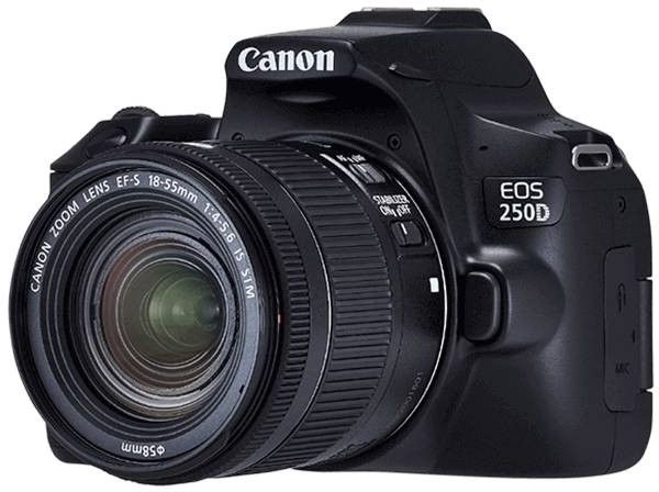 Symfonie Vloeibaar klap Canon Camera EOS 250D With Lens 18-55mm + Soft Bag, 24.2MP - Black